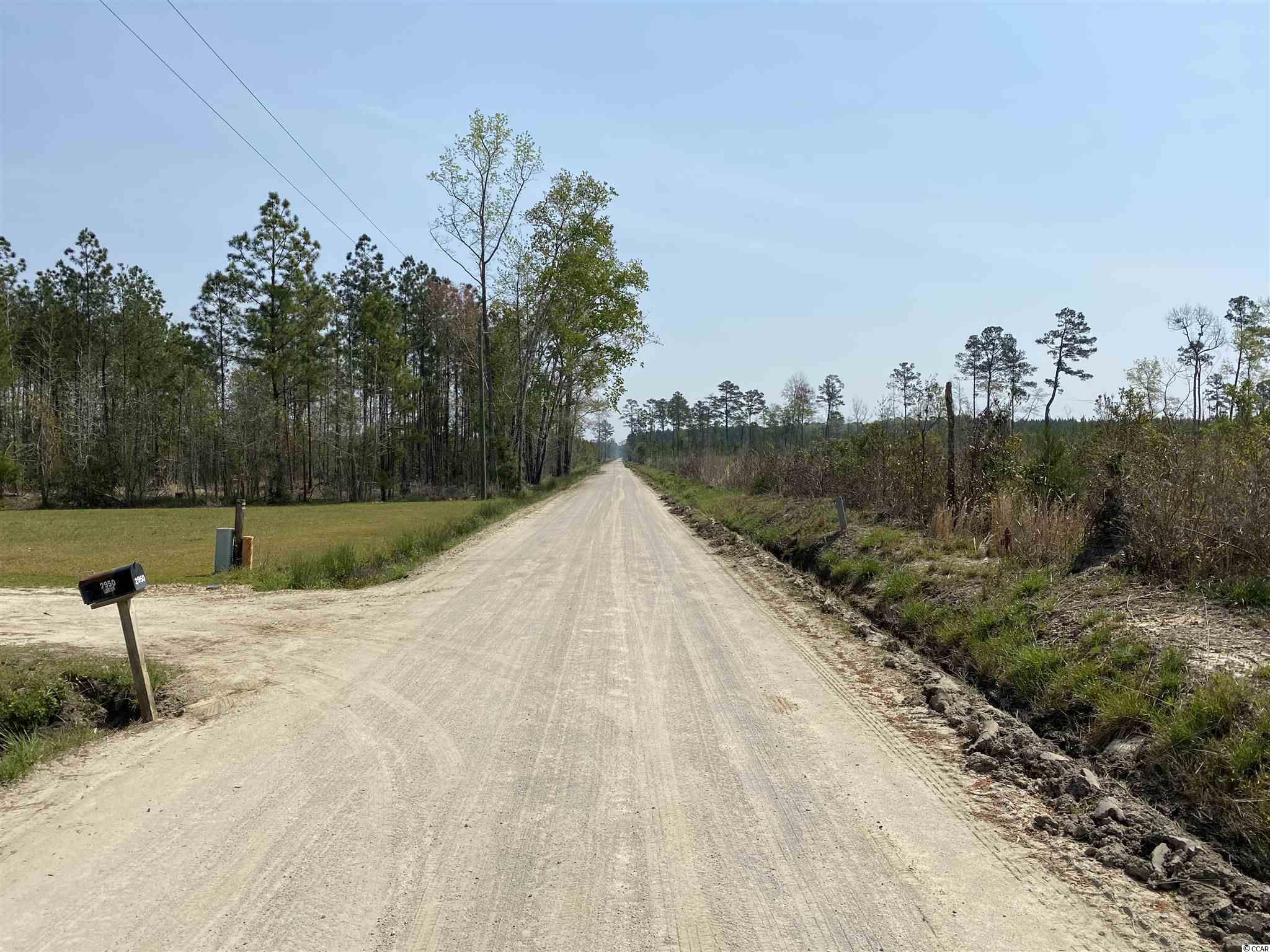 Tbd Gilbert Road Conway, SC 29527 - Photo 5 of 13
