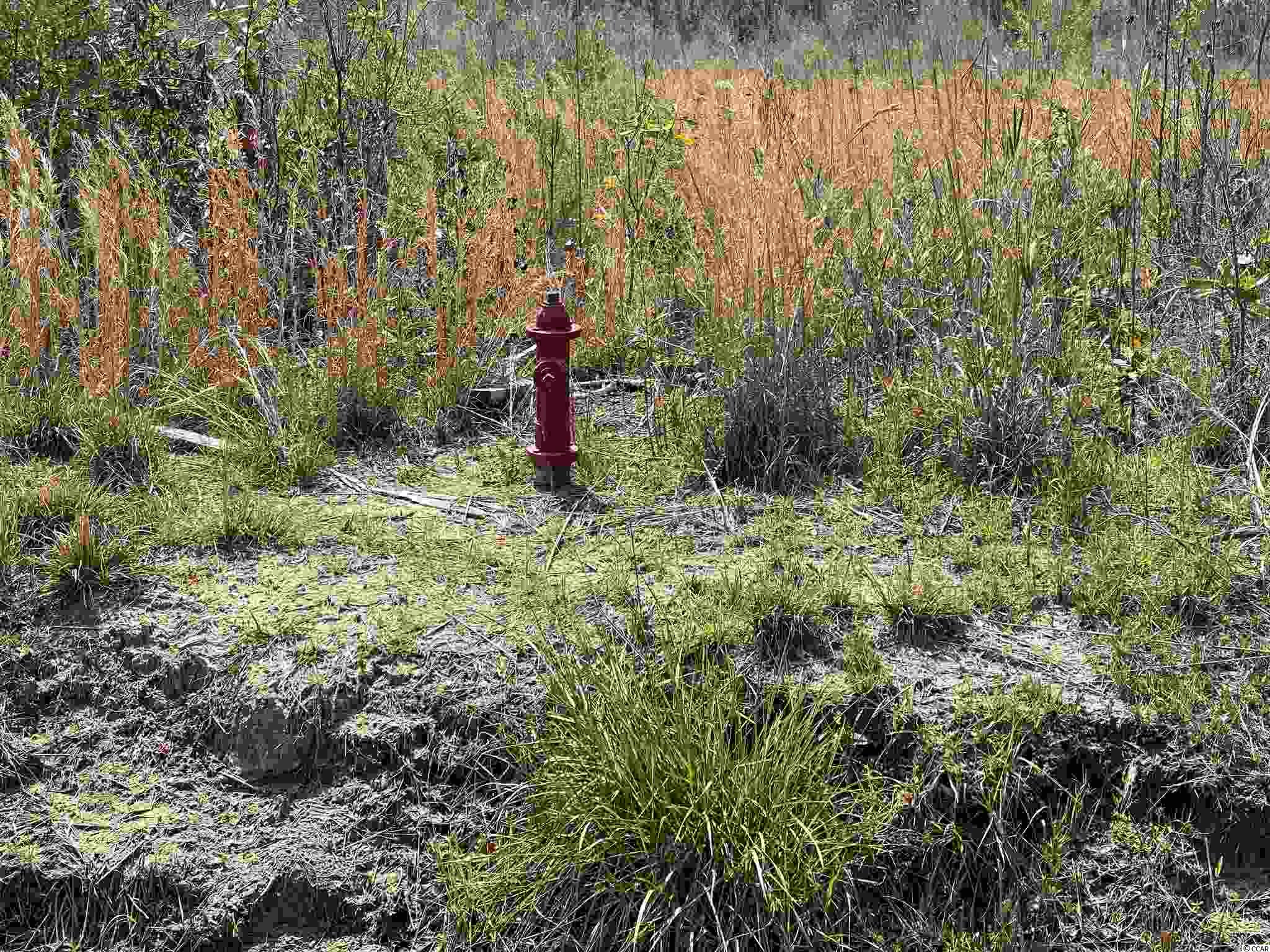 Tbd Gilbert Road Conway, SC 29527 - Photo 6 of 13