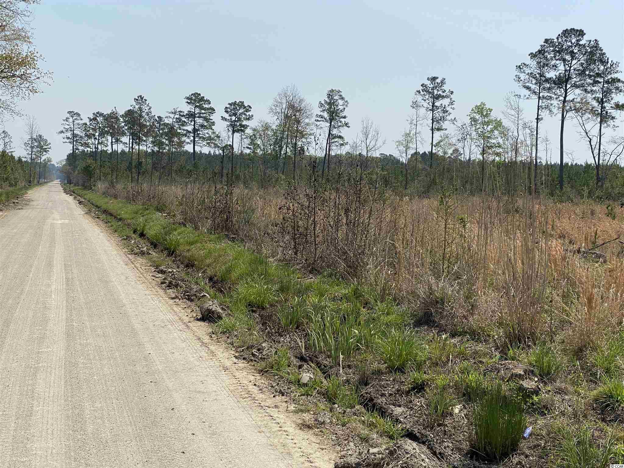 Tbd Gilbert Road Conway, SC 29527 - Photo 8 of 13