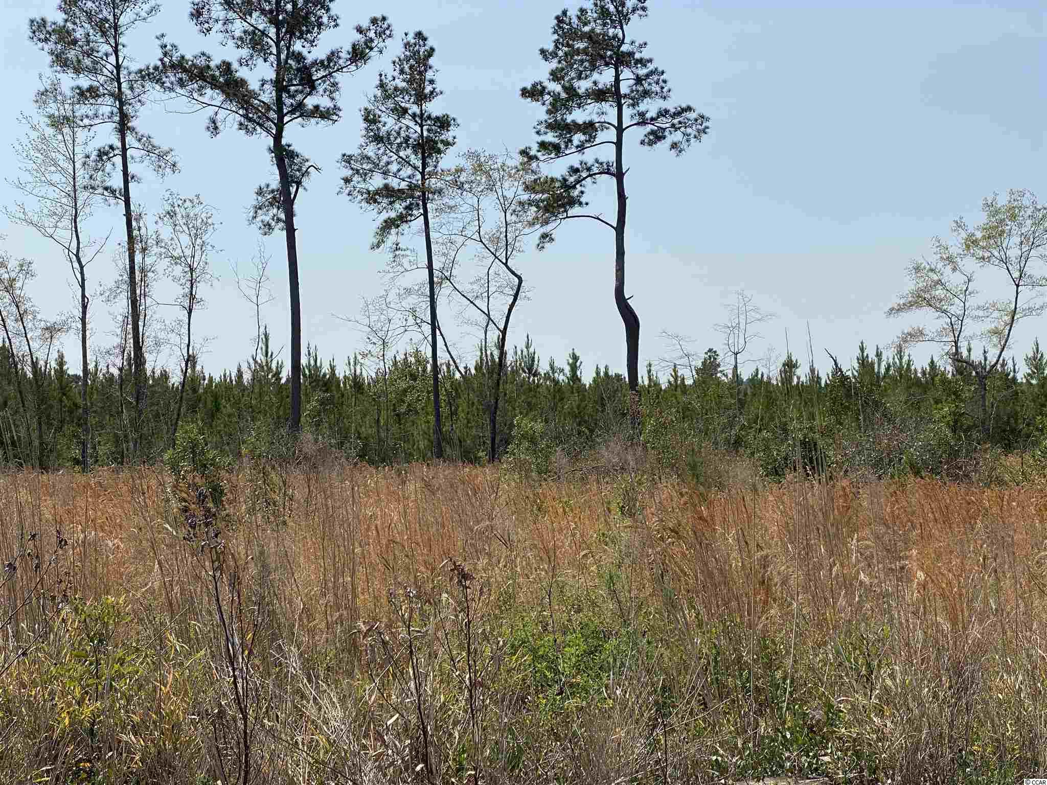 Tbd Gilbert Road Conway, SC 29527 - Photo 9 of 13