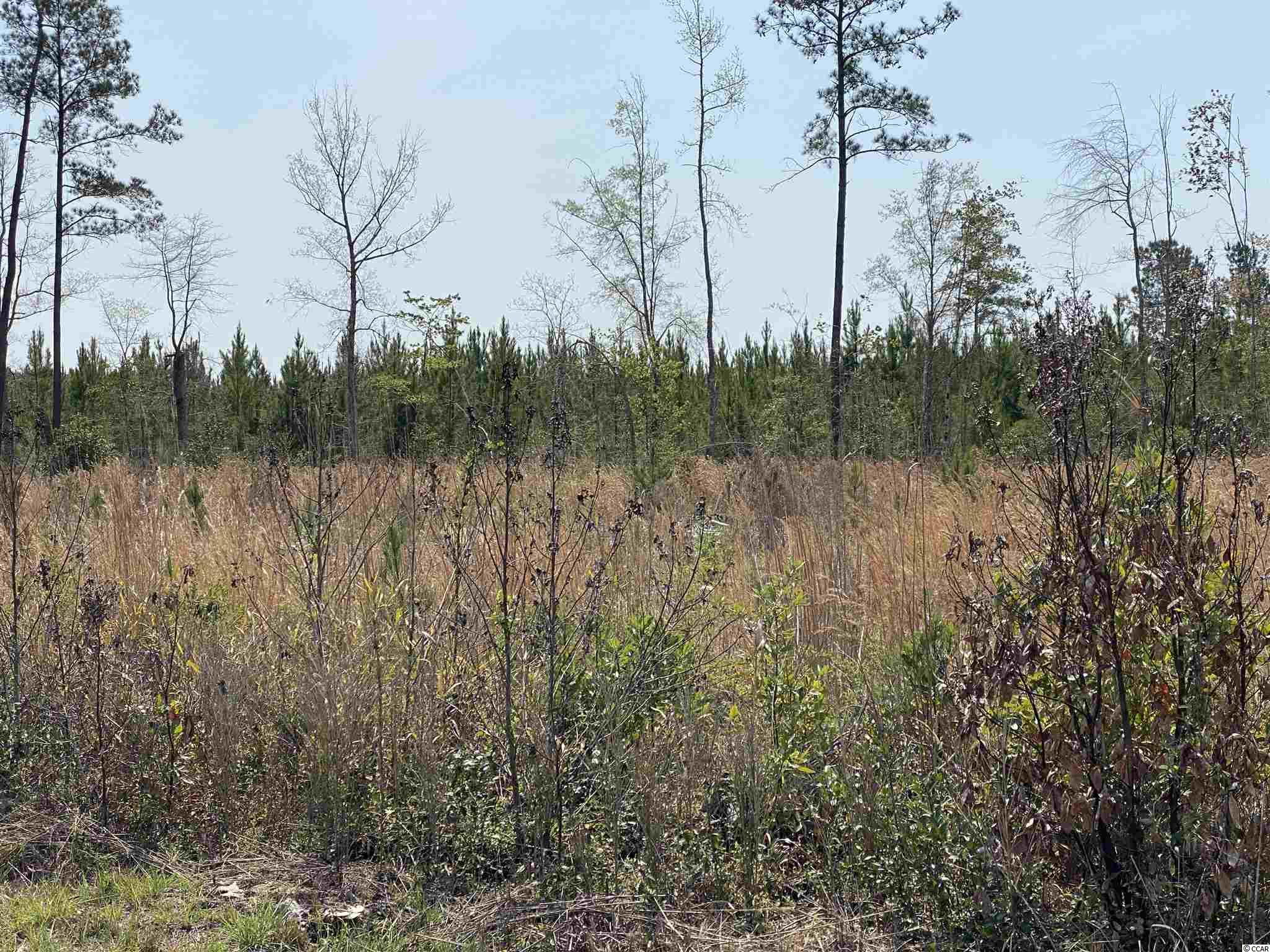 Tbd Gilbert Road Conway, SC 29527 - Photo 10 of 13