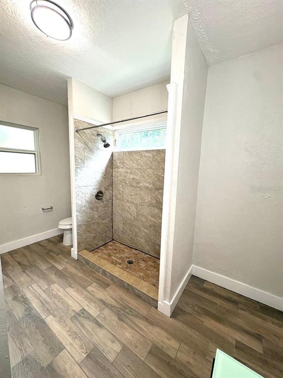 4106 West Arch Street Tampa, FL 33607 - Photo 12 of 26