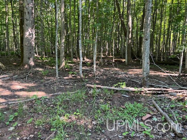 11.6 Acres Off Remington Road Marquette, MI 49855 - Photo 39 of 39