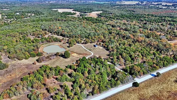 a view of a garden with a plants