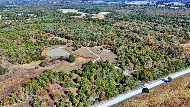 a view of a garden with a plants