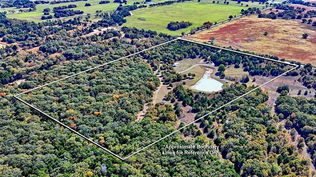 a view of a road with a forest
