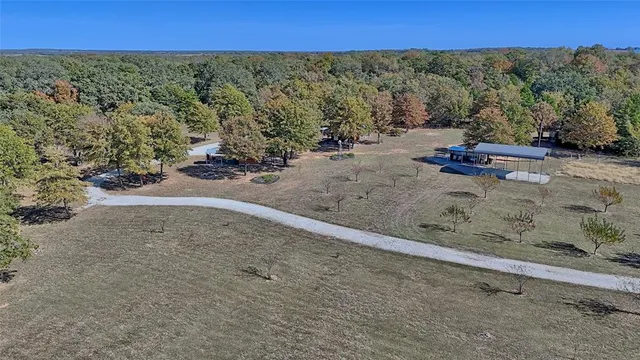 a view of a yard with a tree