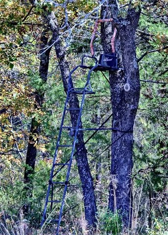a view of a street with a building in the background