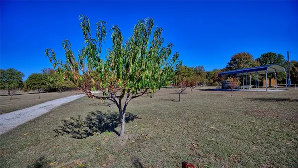 a view of a backyard