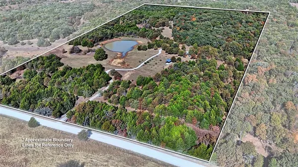 a view of a park with large trees