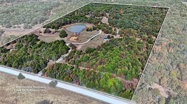 a view of a park with large trees