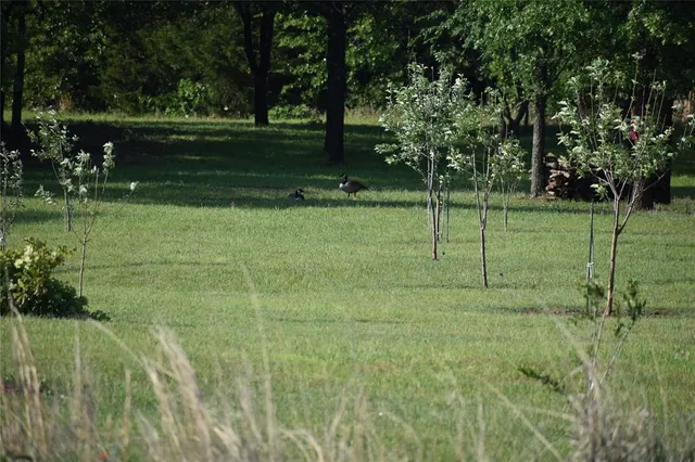 a view of back yard with outdoor seating