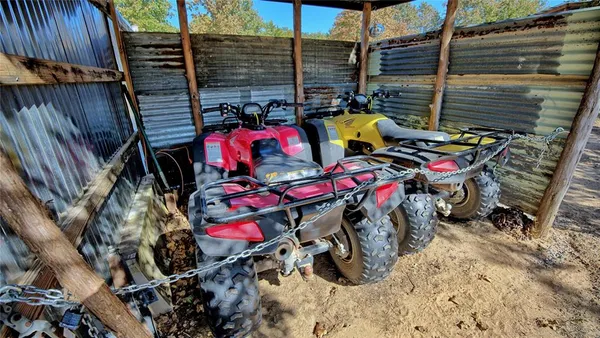 a view of a forest with a tree