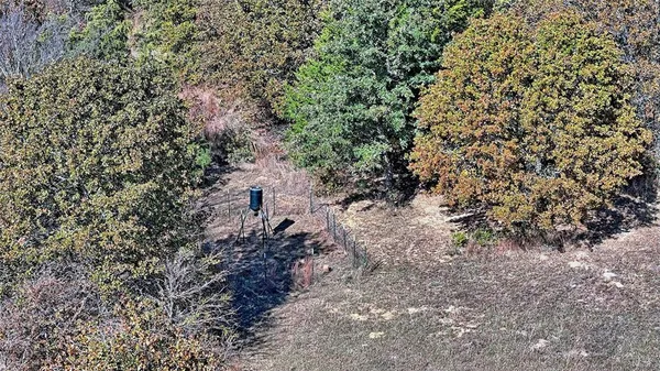 a view of a yard with trees