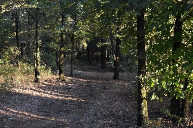 a view of small yard