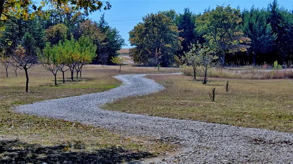 a view of a yard with a tree