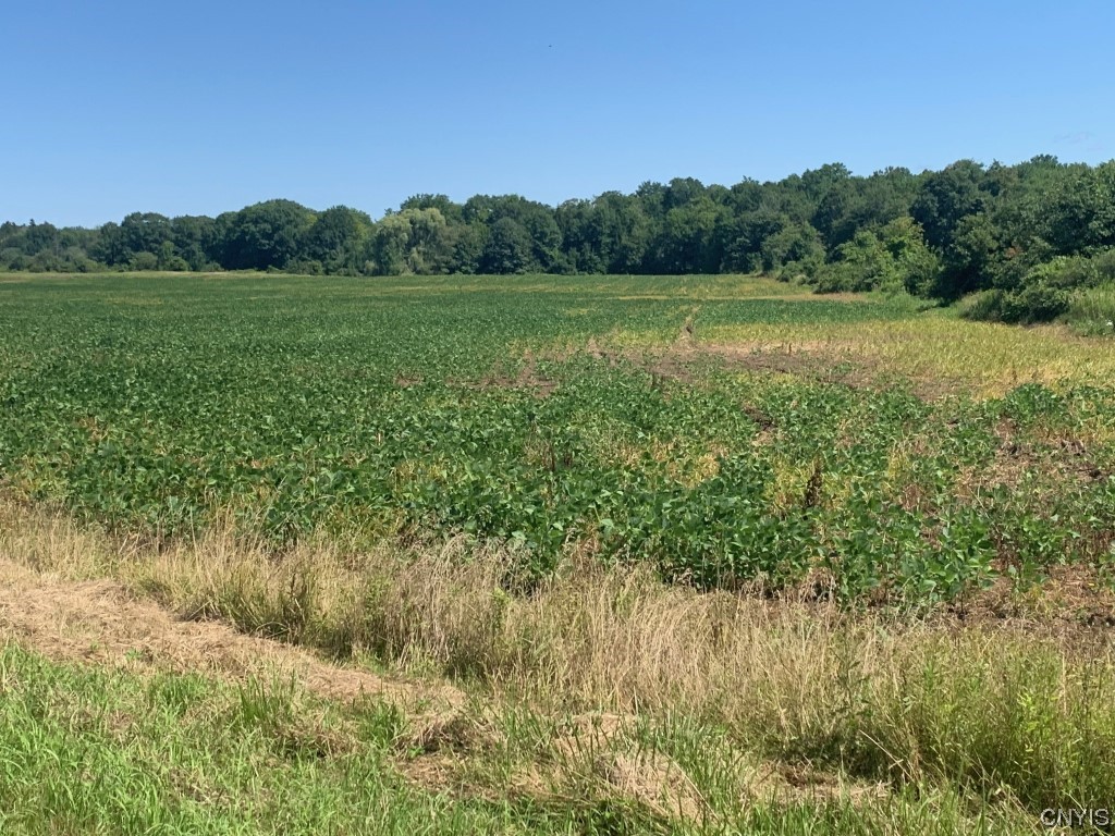 88 Godfrey Road Schroeppel, NY 13132 - Photo 6 of 9