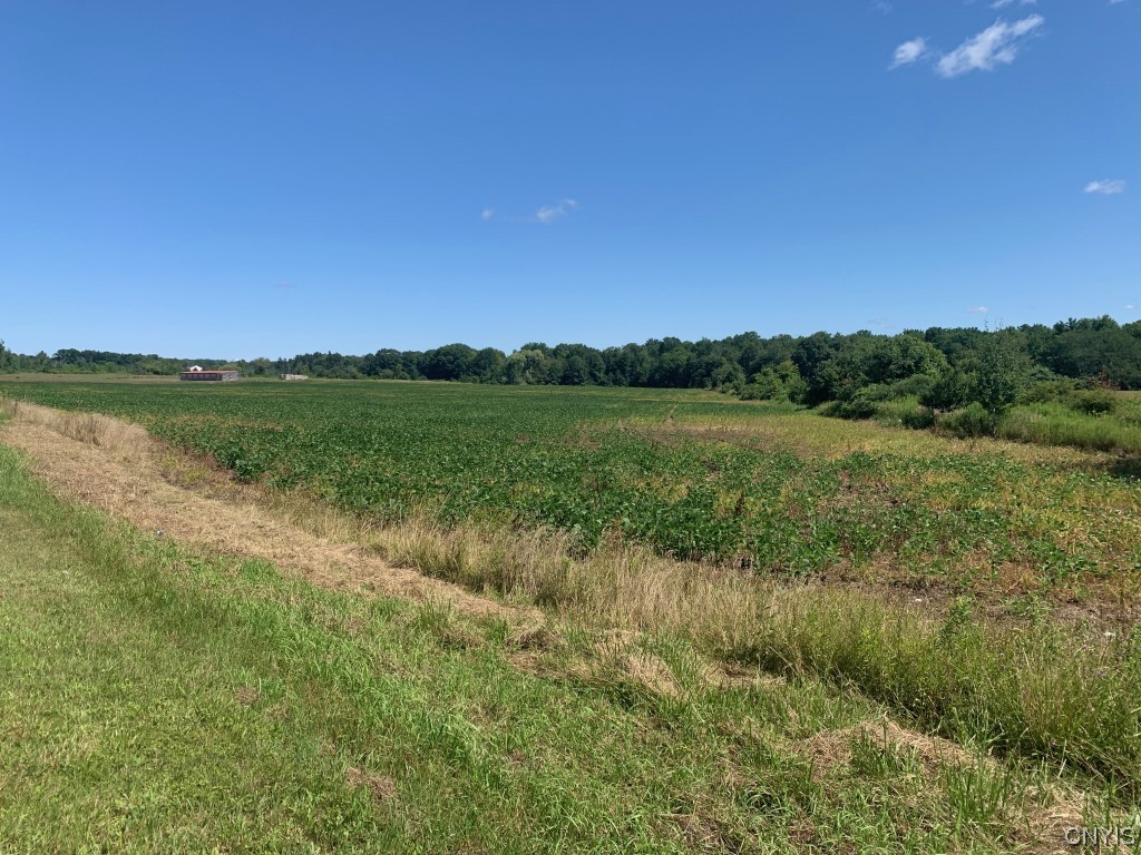 88 Godfrey Road Schroeppel, NY 13132 - Photo 7 of 9