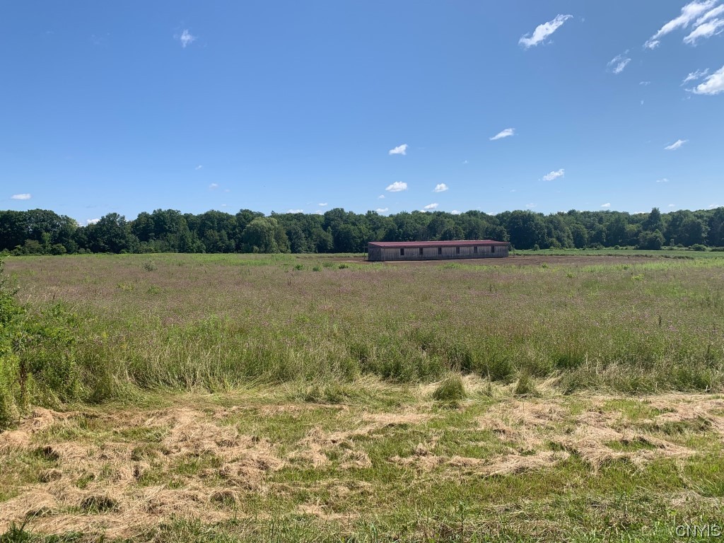 88 Godfrey Road Schroeppel, NY 13132 - Photo 9 of 9