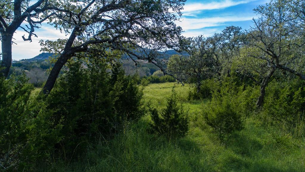 717 Bluff Ridge Trail, Unit 77 Blanco, TX 78606 - Photo 1 of 21 Main View