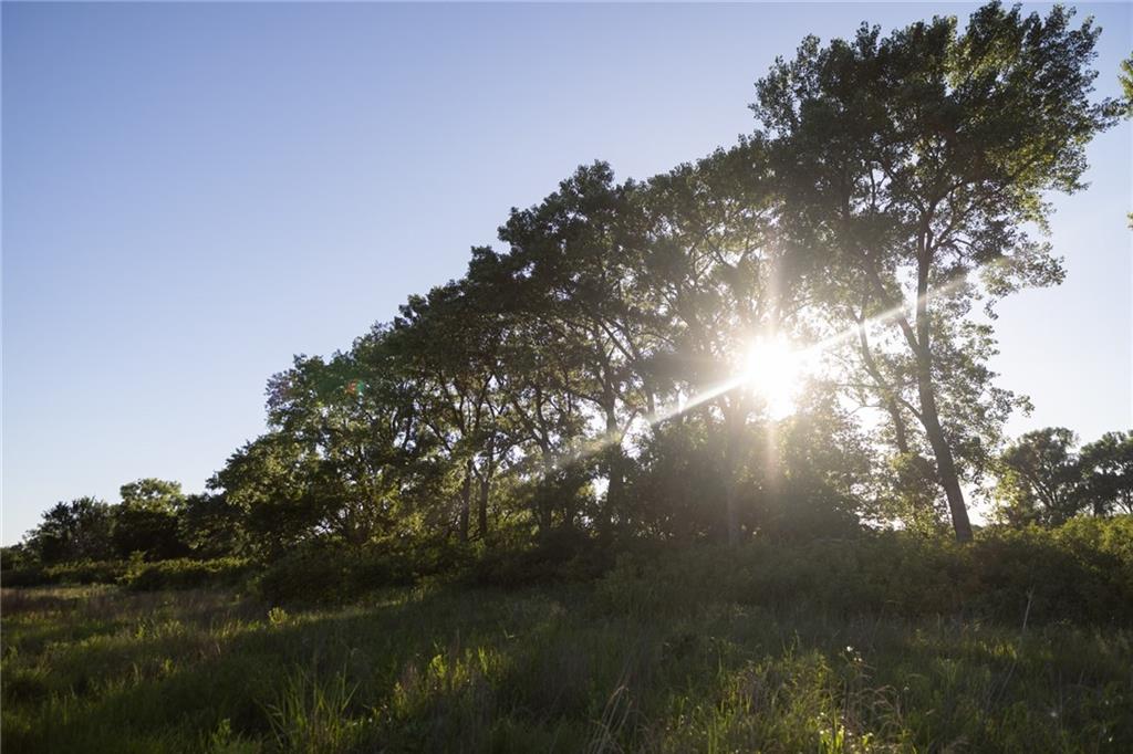2185 Y Road Reading, KS 66868 - Photo 52 of 62