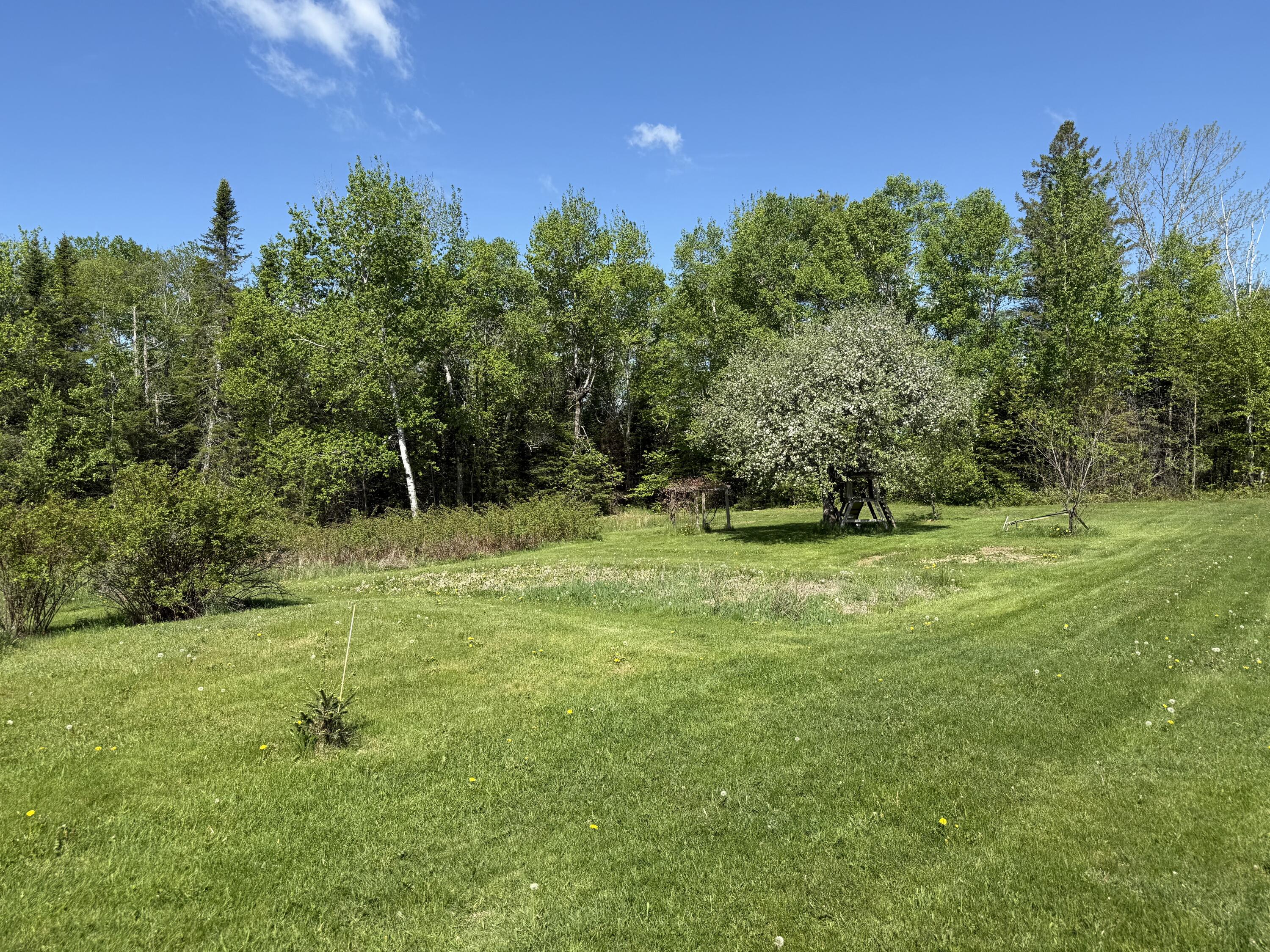 1008 Highway 1 Brookton, ME 04413 - Photo 31 of 38 IMG_9660
