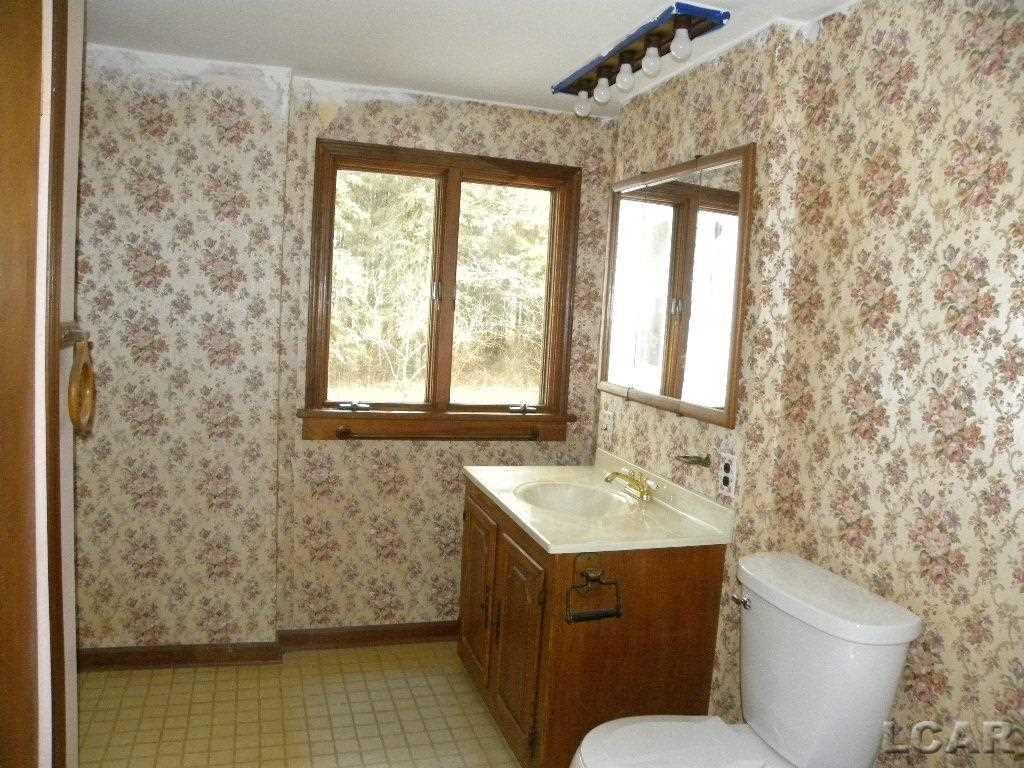 12594 Weston Road Riga, MI 49276 - Photo 8 of 18