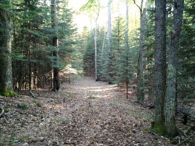 On Shields Road, Unit LOT 1 St. Germain, WI 54558 - Photo 20 of 20 Gallery Image 20