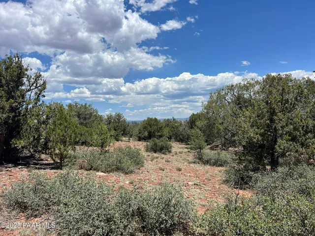 a view of a big yard with lots of green space