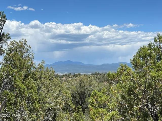 a view of a bunch of trees in a field