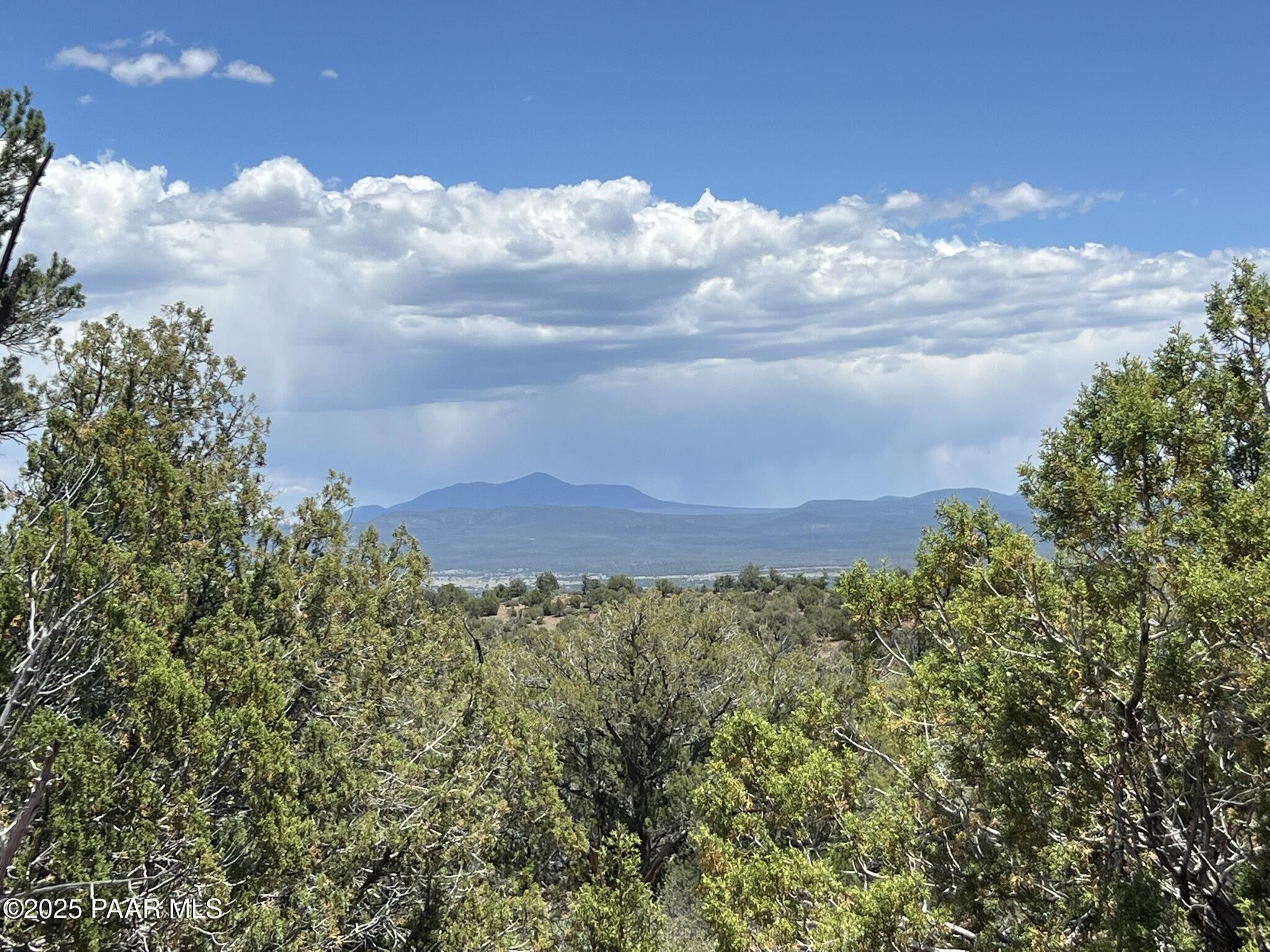 61 Colt Court Ash Fork, AZ 86320 - Photo 6 of 7 a view of a bunch of trees in a field