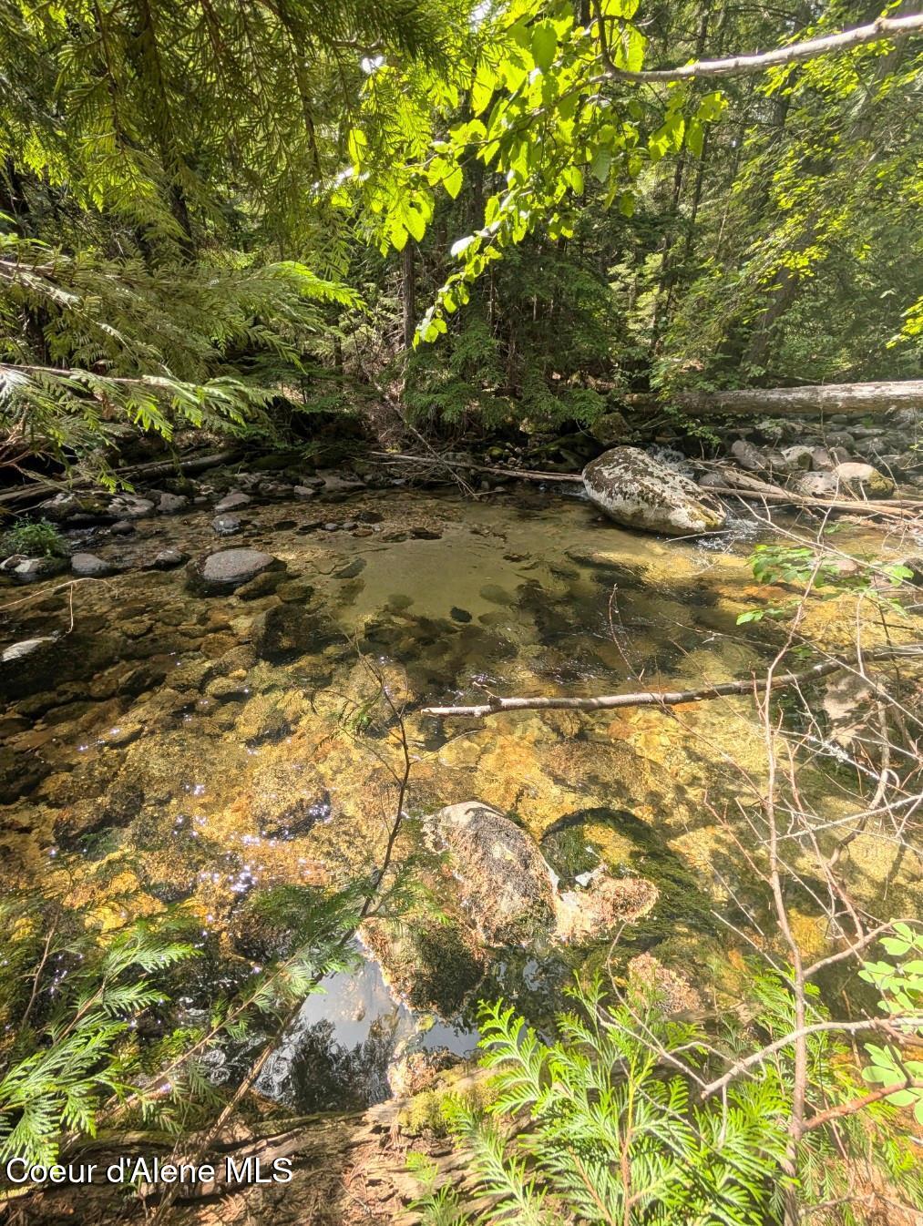1628 Morris Road Naples, ID 83847 - Photo 7 of 36 Gold panning anyone?