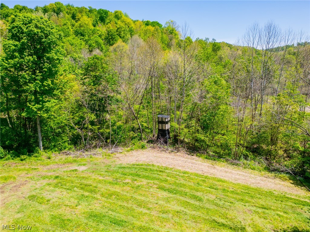 37500 Goose Run Road Dexter City, OH 45727 - Photo 7 of 50