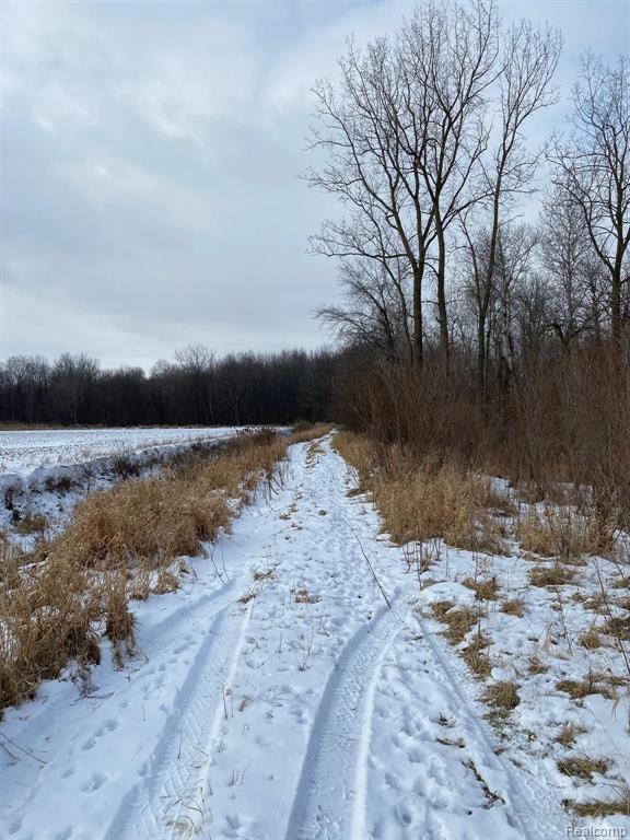 0 Fetting Road Sandusky, MI 48471 - Photo 5 of 7 Gallery Image 5