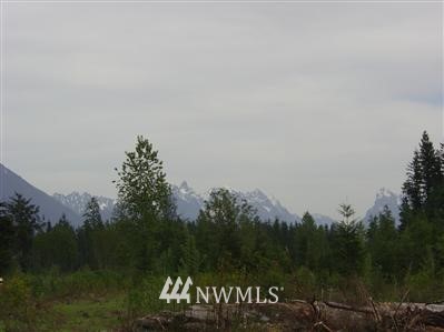 36666 Mann Road, Unit LOT 4 Sultan, WA 98294 - Photo 1 of 1