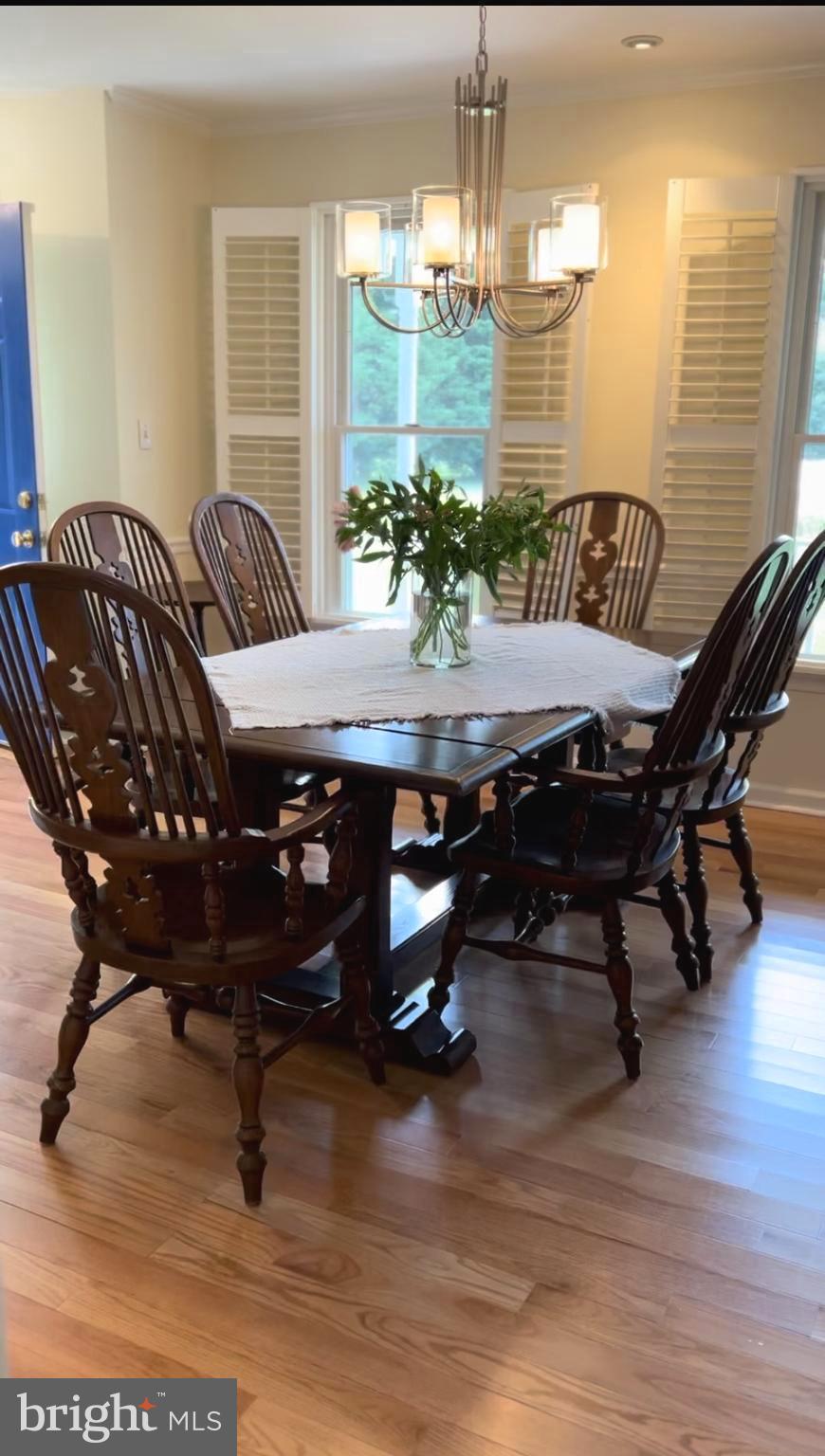 14 Gosling Drive Lewes, DE 19958 - Photo 13 of 38 Beautiful plantation shutters