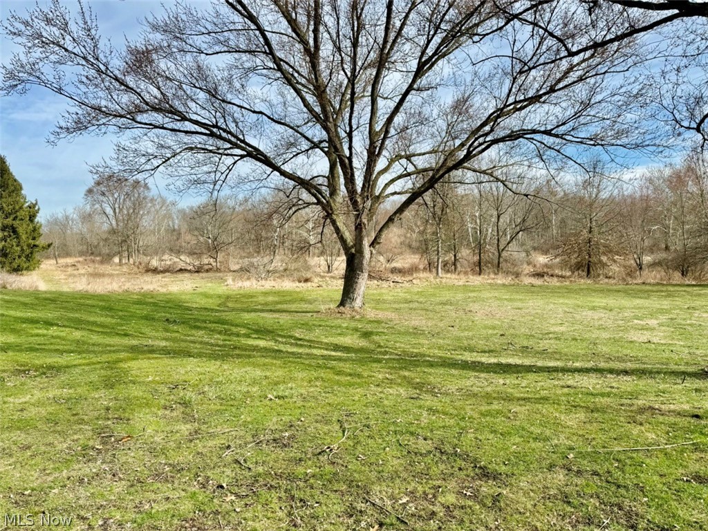 1445 Killian Road Akron, OH 44312 - Photo 5 of 21 View of yard