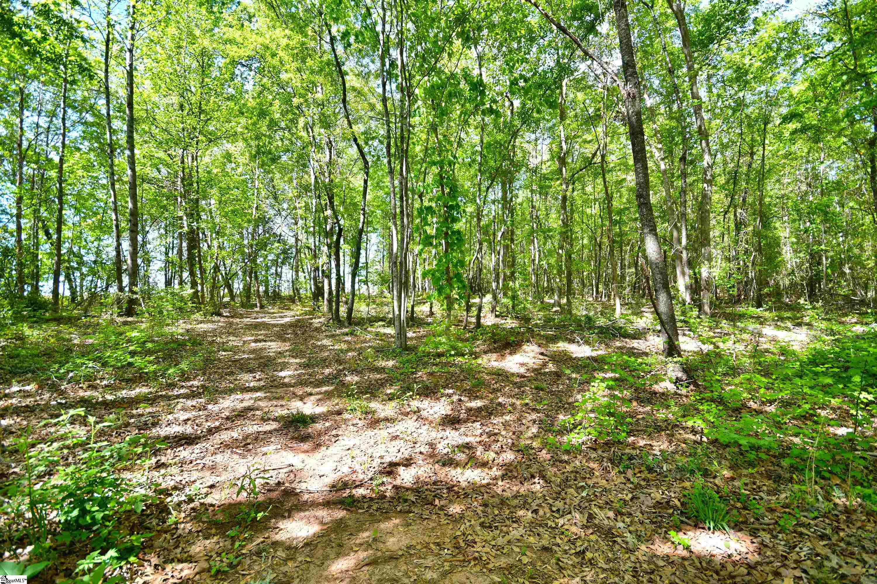 197 Falling Creek Road Spartanburg, SC 29301 - Photo 3 of 37
