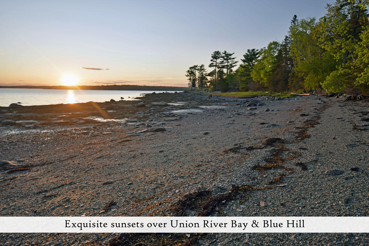 827 Bayside Road Ellsworth, ME 04605 - Photo 16 of 82 shore 4, label