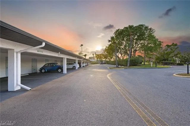a view of a garden with flowers