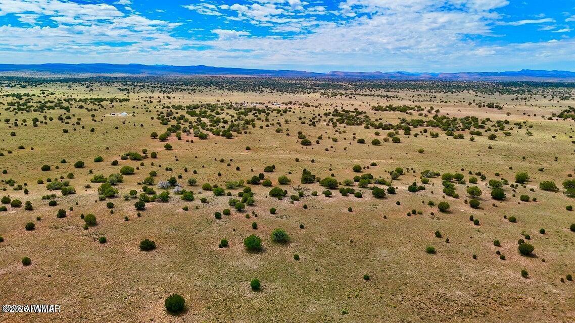 0 Dusty Rose Ranch Road Seligman, AZ 86337 - Photo 15 of 20 Gallery Image 15