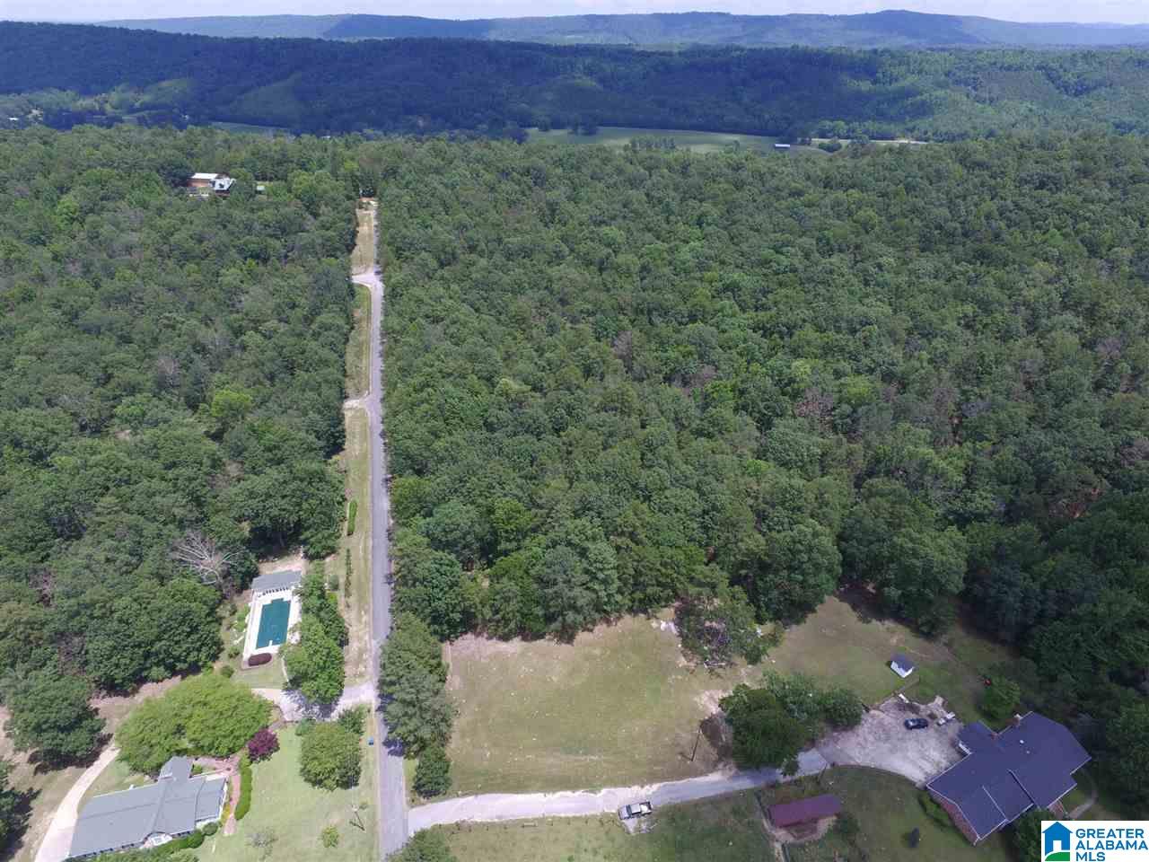1900 Kiowa Road Remlap, AL 35133 - Photo 8 of 36