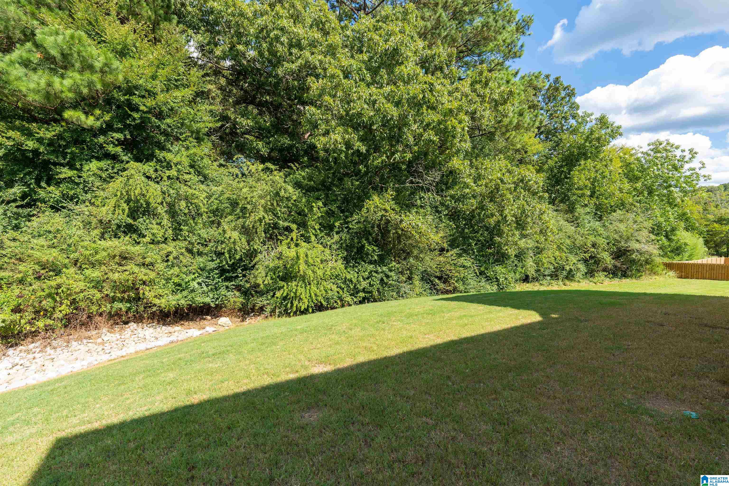 54 Macdonald Lake Road Springville, AL 35146 - Photo 29 of 33