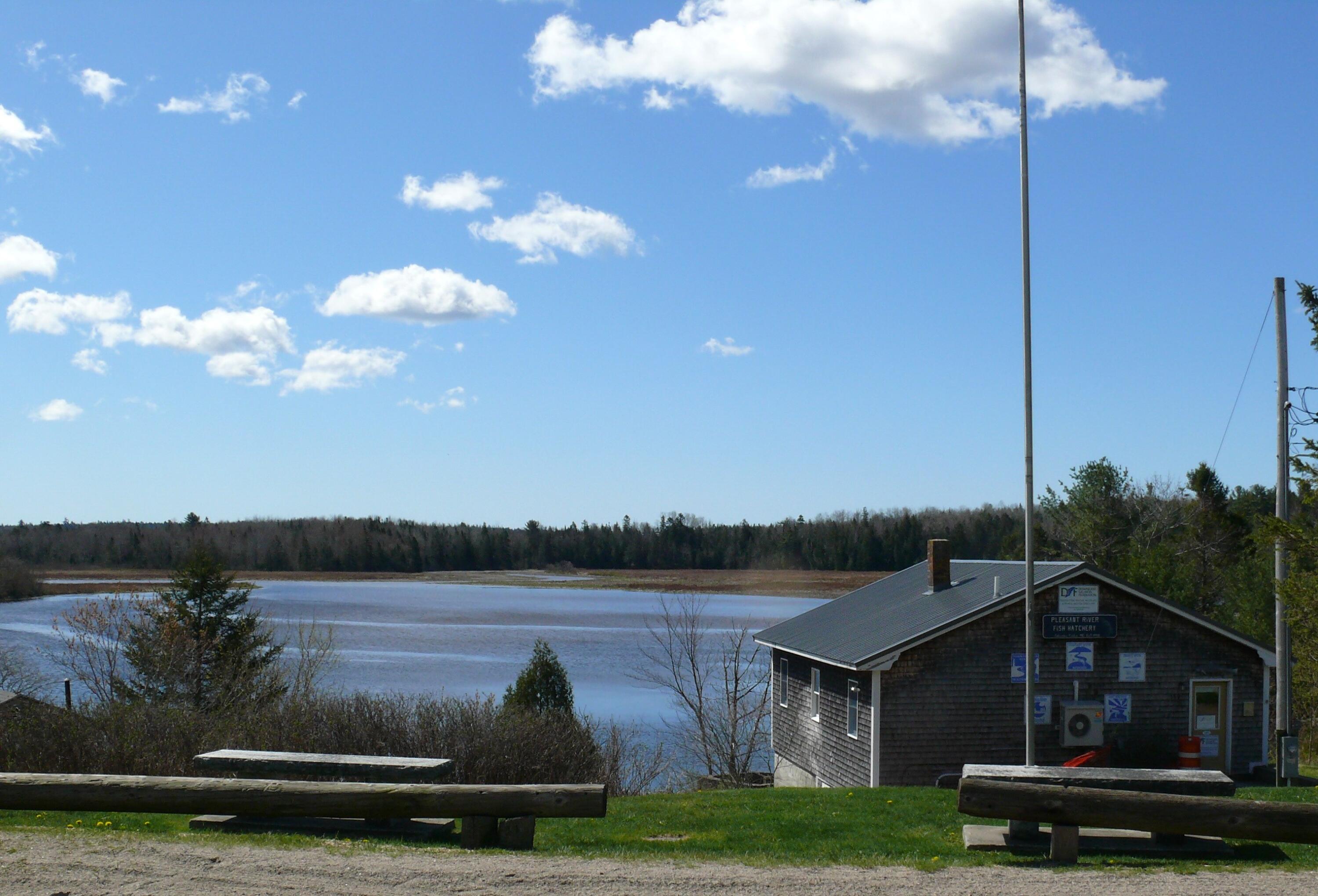 25 Epping Road Columbia Falls, ME 04623 - Photo 7 of 39 ESTUARY