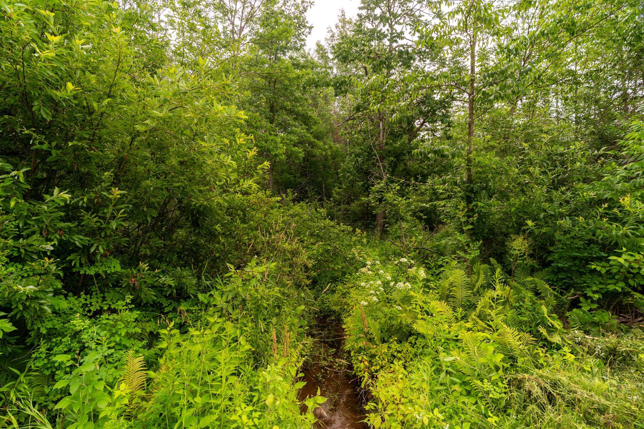 Xx Torma Road Duluth, MN 55810 - Photo 3 of 15