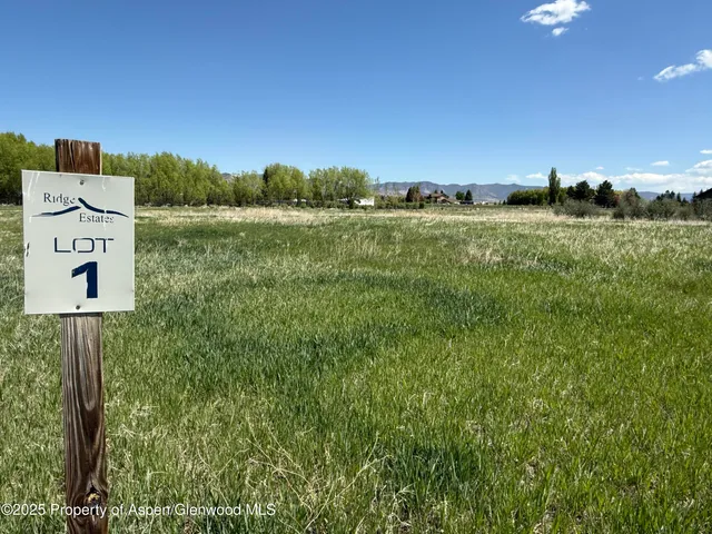 a view of a city with lush green forest
