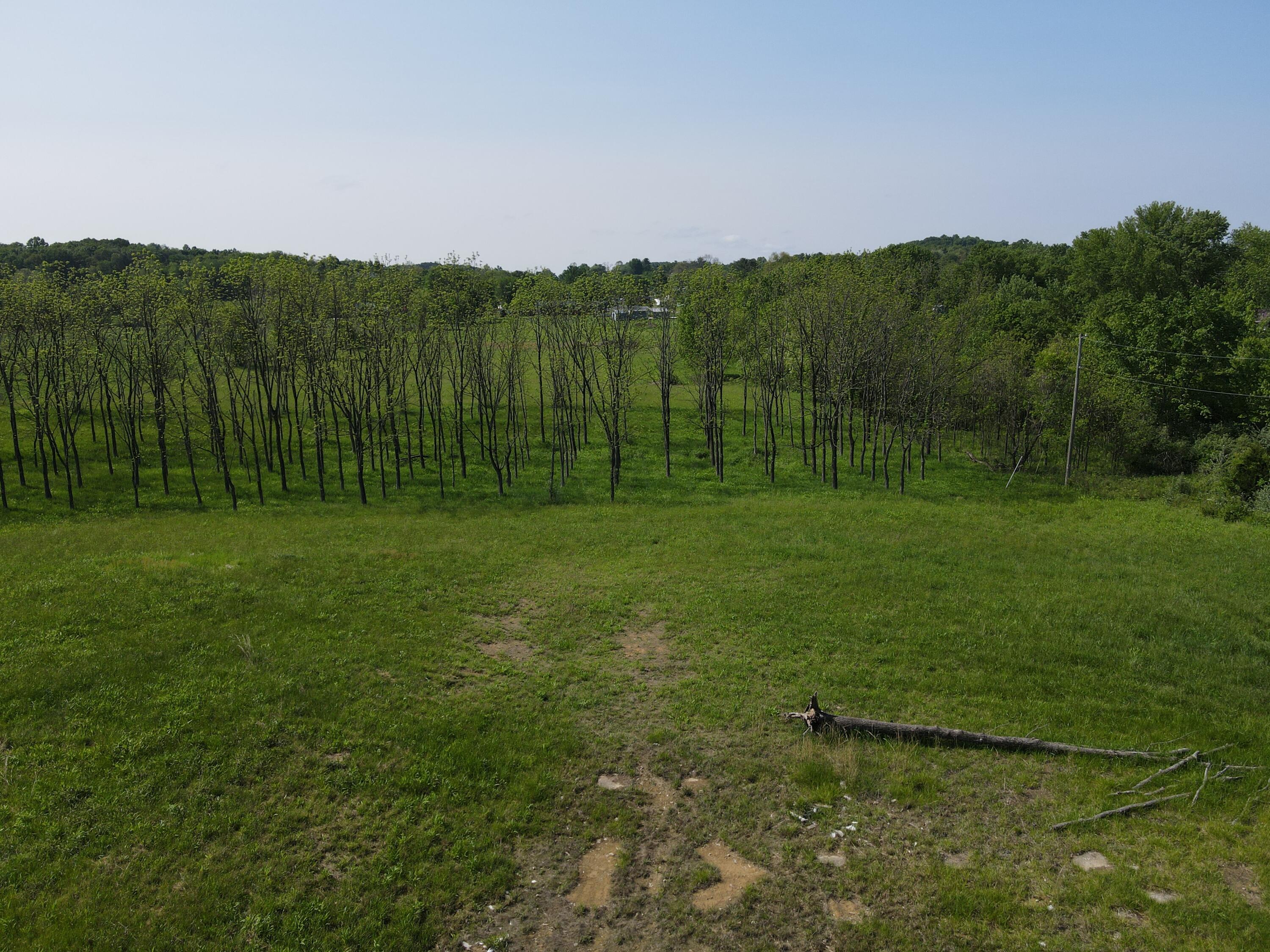 212 Clark Chapel Road Bidwell, OH 45614 - Photo 7 of 9 6. Aerial3