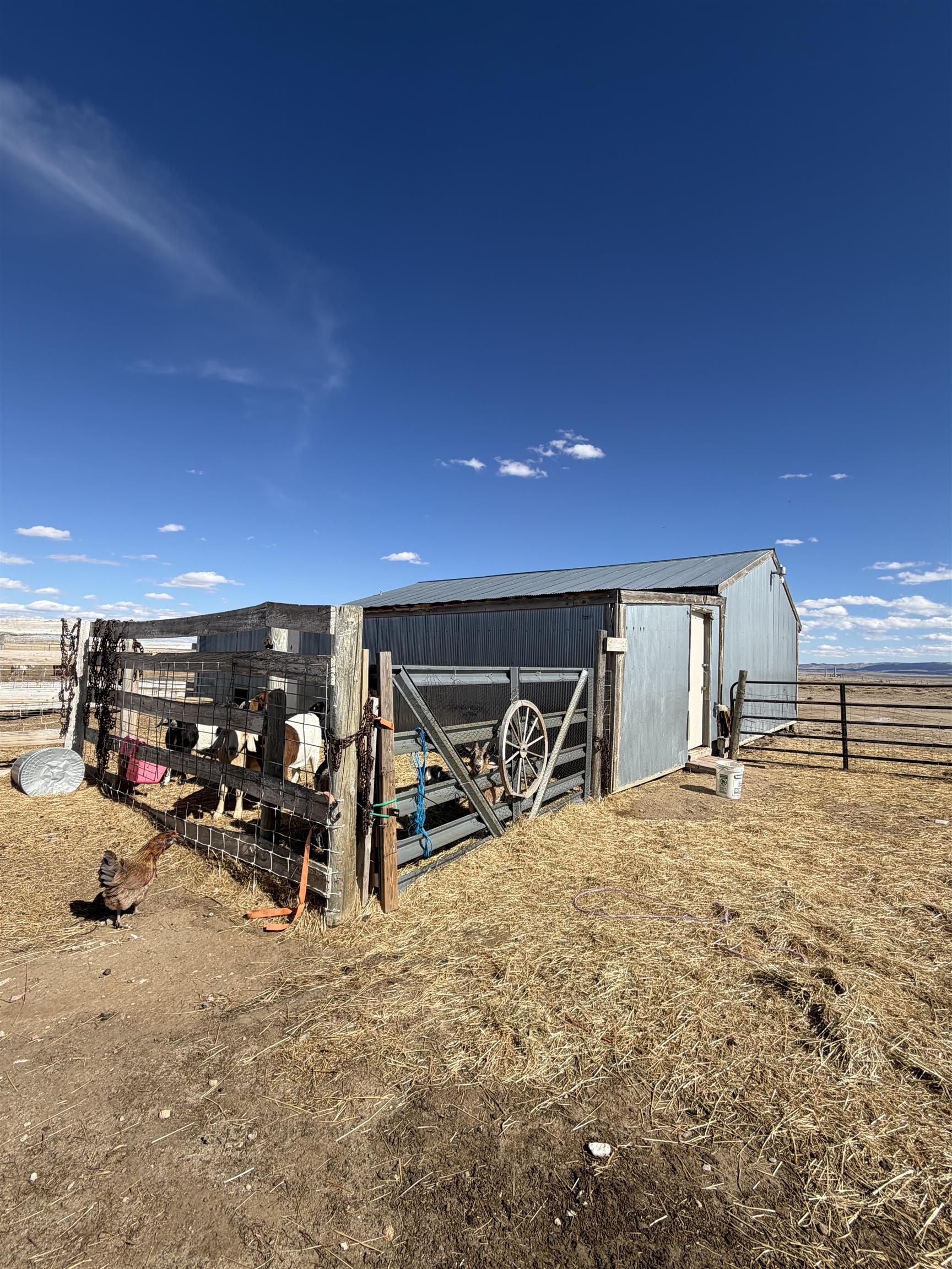 28 South Monkey Road Glenrock, WY 82637 - Photo 16 of 29