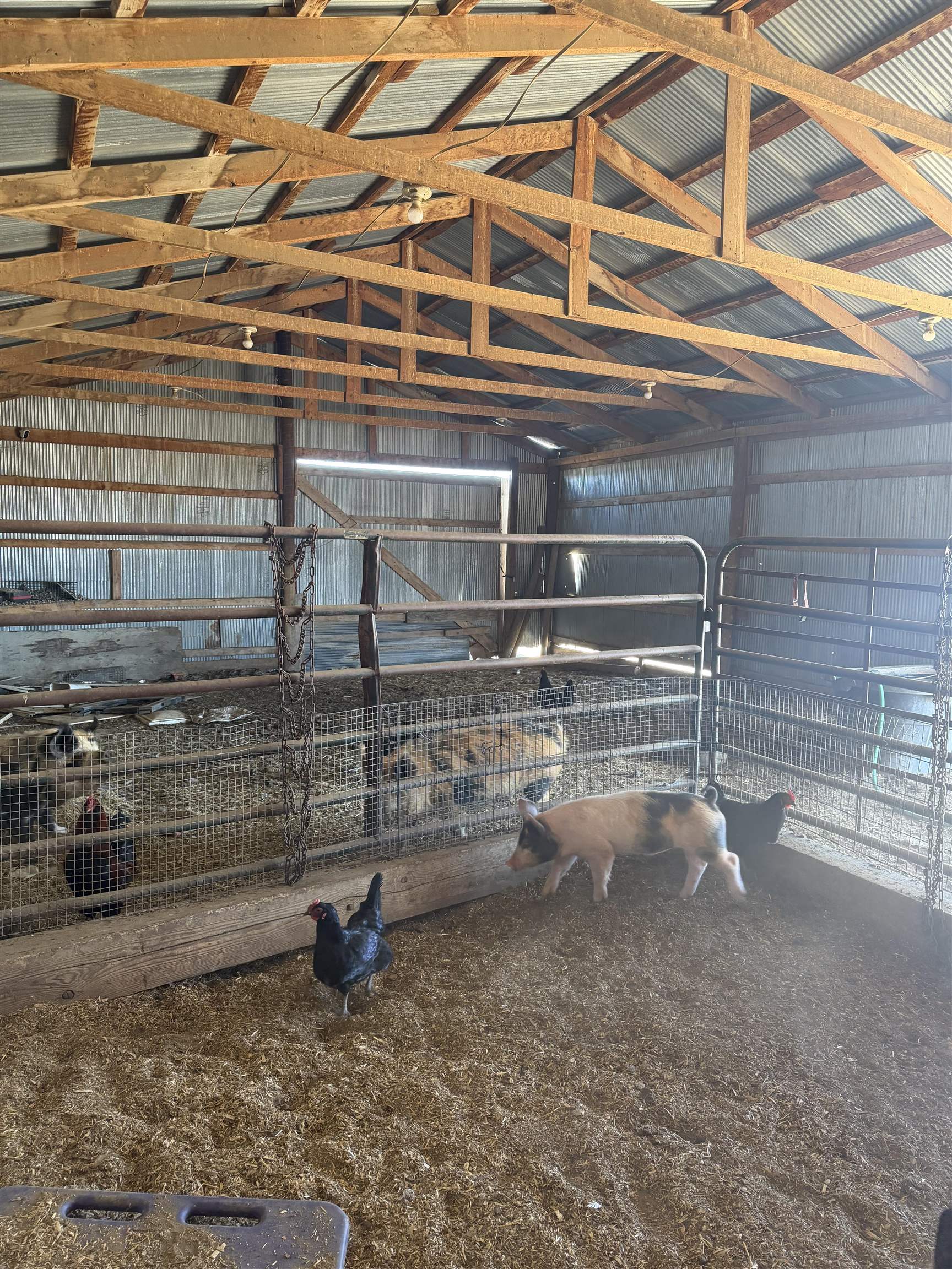 28 South Monkey Road Glenrock, WY 82637 - Photo 17 of 29