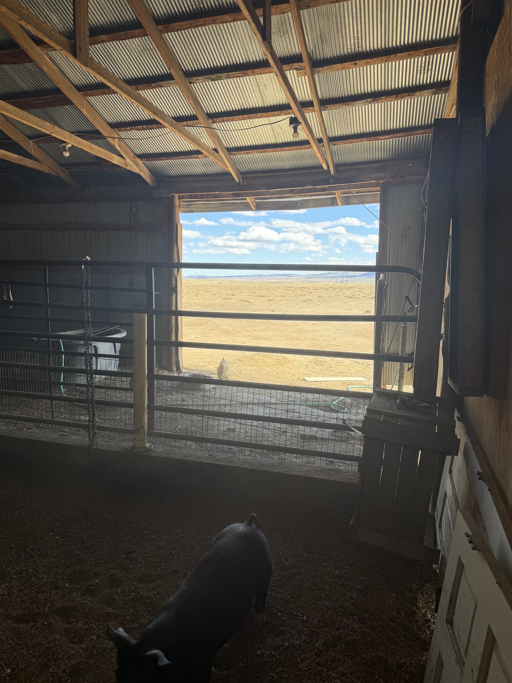 28 South Monkey Road Glenrock, WY 82637 - Photo 18 of 29